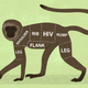 Image for article titled The illegal trade in wild-animal meat could cause the next global pandemic